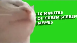 10 Minutes Of Green Screen Memes (FREE DOWNLOAD)