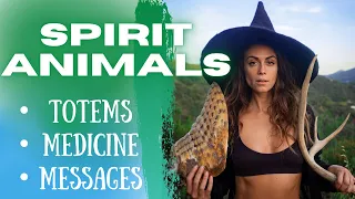 Spirit Animal Medicine & Messages. How to Find Your Totem, Communicate with Earth & Animal Energy
