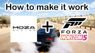 How to make Moza Steering Wheel work with Forza Horizon 5 (Windows 11)