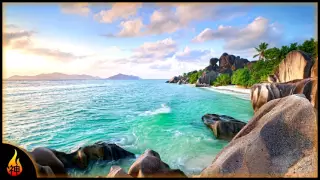 Island Reggae Music | Jamaican Beach | Relaxing Instrumental Reggae