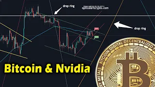 Ring Theory for Bitcoin and Nvidia