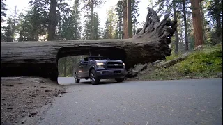 Visite complète de SEQUOIA National Park en Californie!