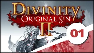 Divinity: Original Sin II (#1) Zaczynamy od początku
