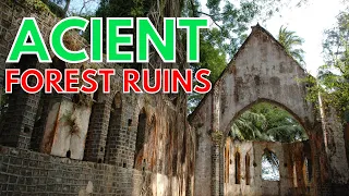 Ancient Forest Ruins | Dreamland Relaxing Music | Sounds of The Soul