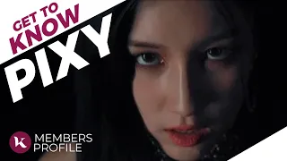 PIXY (픽시) Members Profile (Birth Names, Birth Dates, Positions etc..) [Get To Know K-Pop]