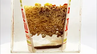 Perfect Slice Of Cup Of Noodles With Resin And Waterjet