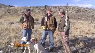 Chukar Hunting in Utah's West Desert