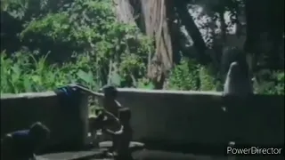 isang kagimbal gimbal na kaganapan malapit sa pinagbagsakan ng C130 sa Patikul Sulu.