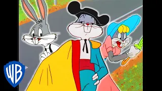 Looney Tunes | Was That Bugs Bunny? | Classic Cartoon Compilation | WB Kids