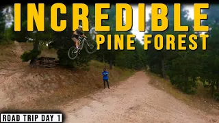 Flow jump lines through a PINE FOREST!