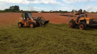 Fazenda Sonho Real 2017 - Silagem de capim Mombaça 3