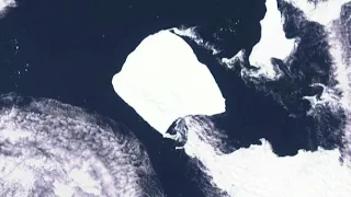World's largest iceberg off Antarctica stuck since 1986 breaks free