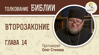 Второзаконие. Глава 14. Протоиерей Олег Стеняев. Толкование Ветхого Завета. Толкование Библии