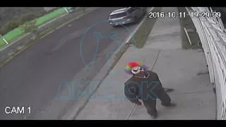 PERRO ENTRENADO ATACA A PAYASO  SINIESTRO