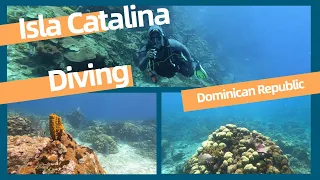 55 foot Wall Dive off Catalina Island (Isla) in Dominican Republic, June 2022 with GoPro