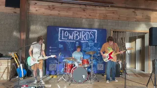 Say It Ain't So - Low Birds (Live at Little Arrow, May 2023)