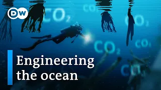 Can we trick the ocean into swallowing more CO2?