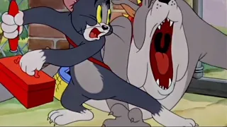 Tom & Jerry Best Meme Coffin Dance Cover