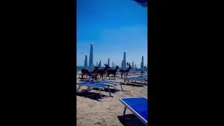 Daini in spiaggia a Lido Nazioni: l'incredibile video