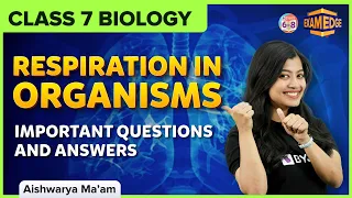 Exam Edge: Respiration in Organisms | Important Questions and Answers l Class 7 | Science | BYJU'S