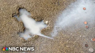 Chicago's iconic Rat Hole sidewalk landmark is removed