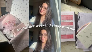 study vlog | productive weekend study with me | cbse grade 12 |