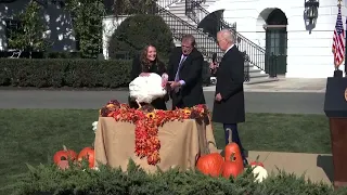 President Biden Pardons Two Thanksgiving Turkeys