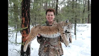 BC Bobcat With Hounds 2010