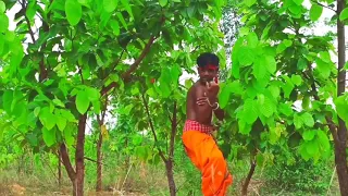 Lal paharir deshe ja (Folk dance video)