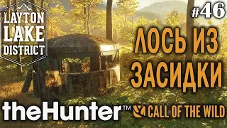 theHunter call of the wild #46 🔫 - Лось Из Засидки - Винтовка - Лось