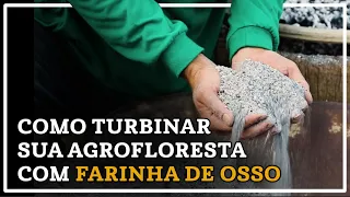 Aprenda a fazer a farinha de osso, um insumo riquíssimo em fósforo