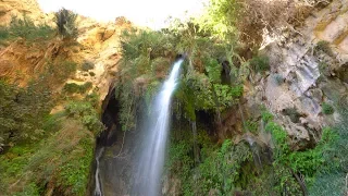 Ein Gedi and the Waterfall Of David