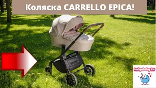 Коляска Carrello Epica 2  в 1