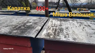 Селекційна Пасіка 400+ (Карпатянка) Міші Волошина.