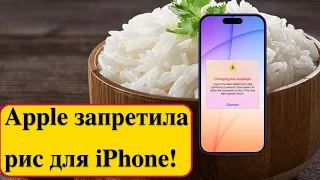 Apple запретила рис для iPhone!