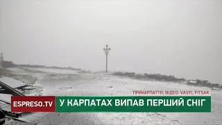У Карпатах випав перший сніг