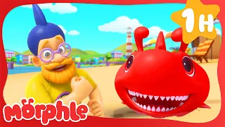 Morphle Is A Shark | Morphle Heroes | My Magic Pet Morphle | Kids Cartoon