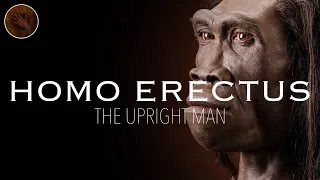 Homo Erectus: 'The Upright Man' | Prehistoric Humans Documentary