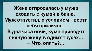 Жена Пошла с Кумой в Баню! Сборник Свежих Анекдотов! Юмор!