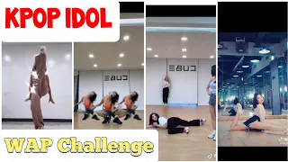KPOP Idol doing WAP Challenge (Hyolyn, Seung Yeon, Yuji, Alexa and Seunghee)