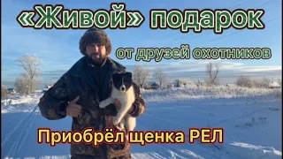 «Живой» подарок от друзей охотников. Приобрёл РЕЛ.