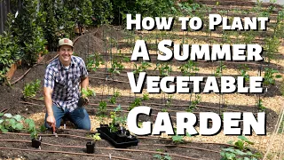 How To Plant A Vegetable Garden