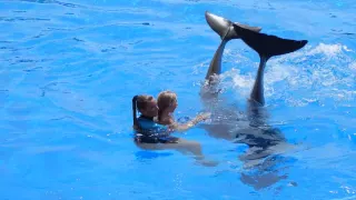 Veronika Dancing with  Dolphins