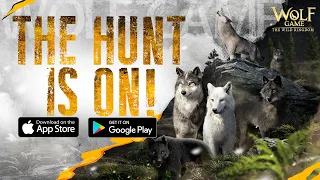 🎉FULL RELEASE!!🎉 The Hunt Is On NOW! Join Your Wolfpack in WOLF GAME!