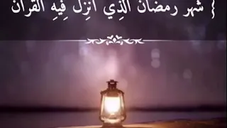 شهر رمضان ||أحمد حمادي