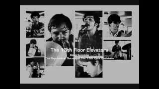 The 13th Floor Elevators - Reverberation