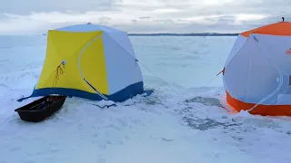 В поисках КоРюшКи. Тестируем лучшую наживку для ловли