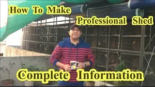 How To Make Professional Birds Shed||Birds Ki Farming K Liye Shed Kesa Hona Chahiye [Urdu/Hindi]