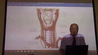 Anatomy of head & neck 59 (Vagus nerve   ) , by Dr. Wahdan