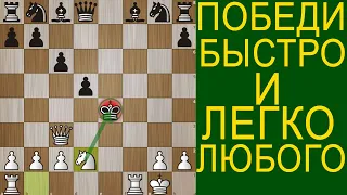 СДЕЛАЙ ЭТО И ПОБЕДИ 95% ИГРОКОВ В ШАХМАТАХ. Шахматы Ловушки. Шахматы Обучение. Шахматы Уроки.Шахматы